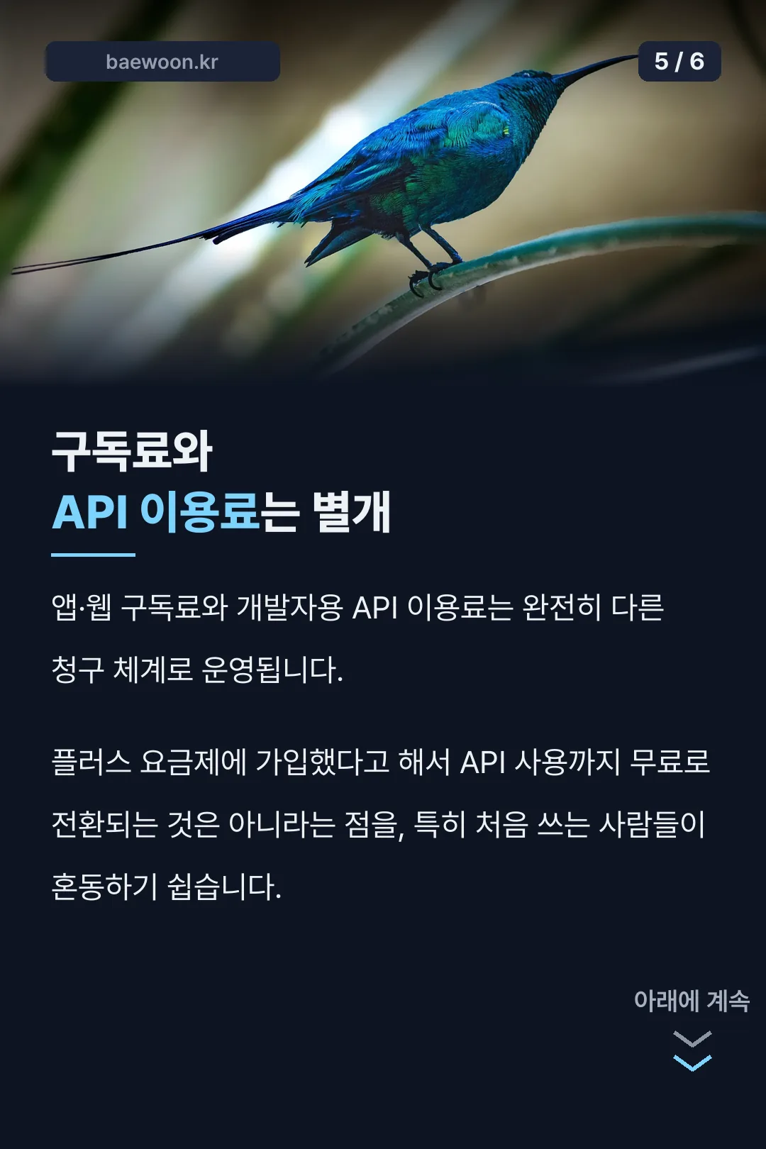 구독료·API 구분